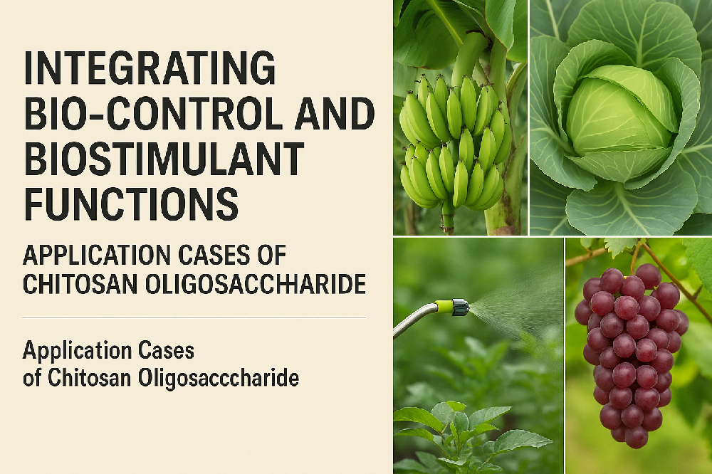 Integrating Bio-control and Biostimulant Functions: Application Cases of Chitosan Oligosaccharide