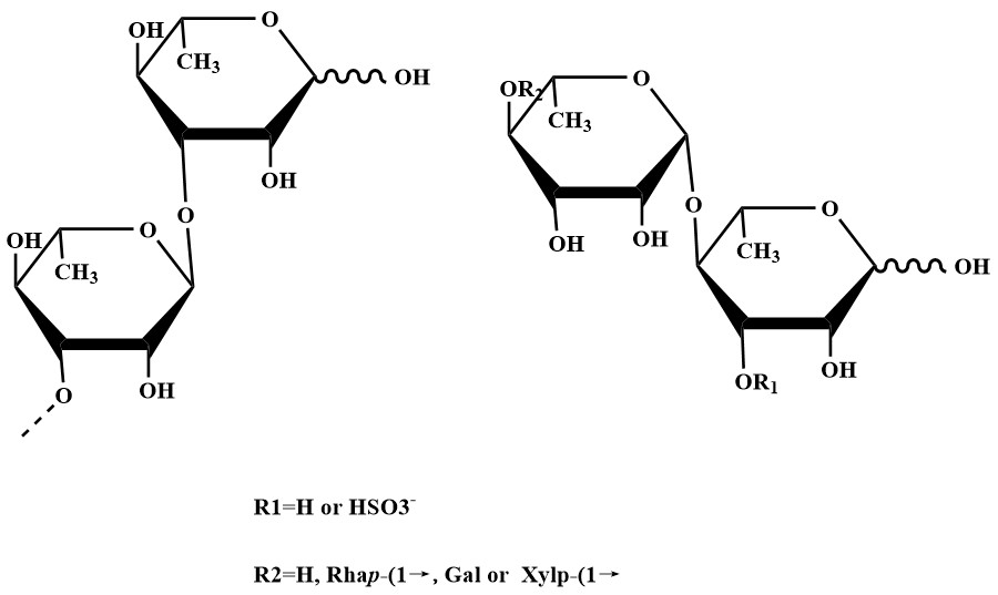 Green Algae Oligosaccharides: Dual Disease-Resistance Guardians for Crops