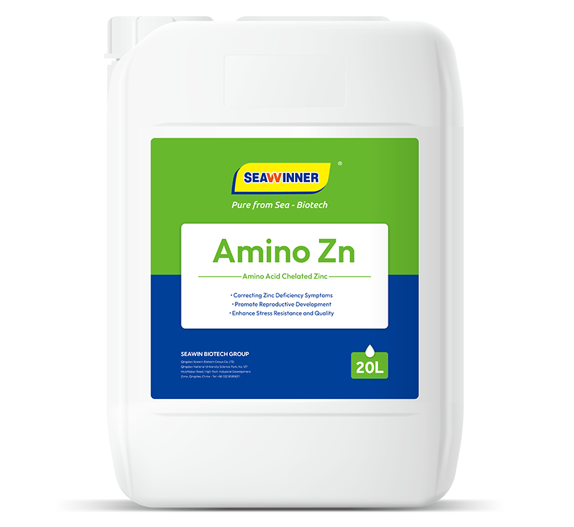Amino Zn